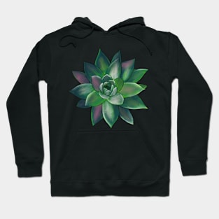 Colorful Succulent - Green and Pink Hoodie